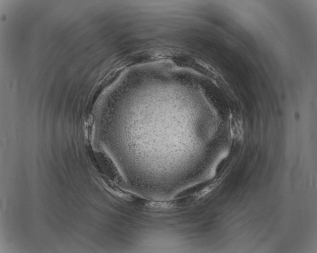 X0000065260766200603031828