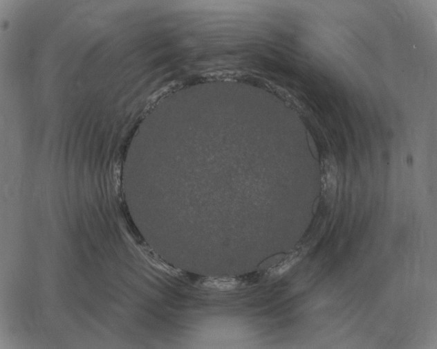 X0000065260767200603031828