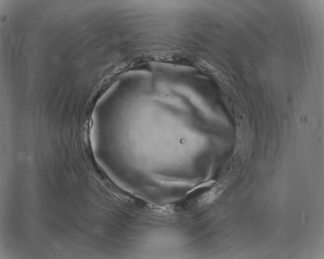 X0000065260768200603031828