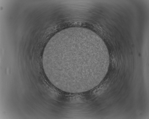 X0000065260769200603031828