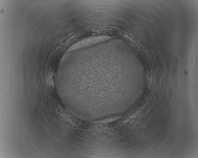 X0000065260770200603031828