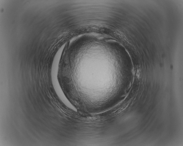 X0000065260771200603031828