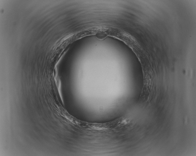 X0000065260773200603031828