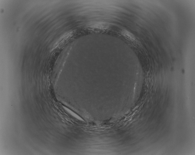 X0000065260774200603031827