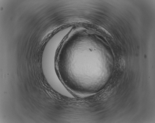 X0000065260775200603031827