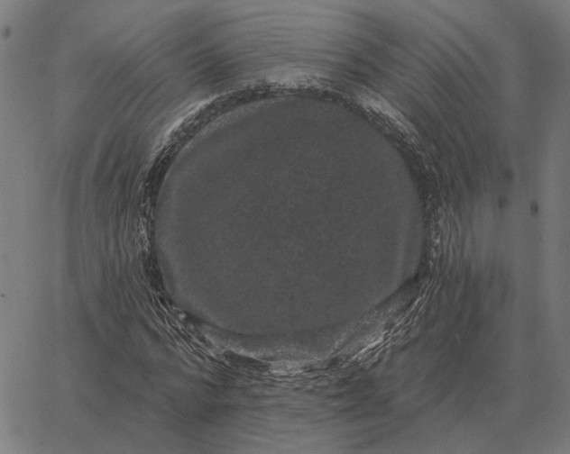 X0000065260776200603031827