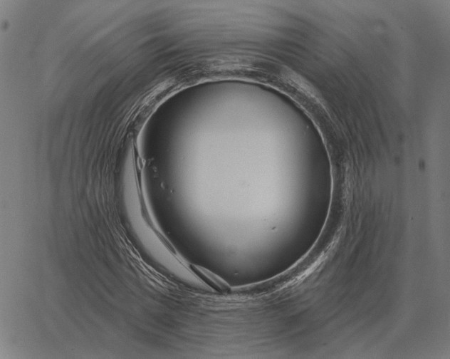 X0000065260777200603031827