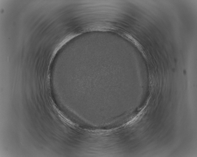 X0000065260779200603031827