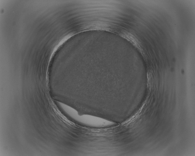 X0000065260780200603031827