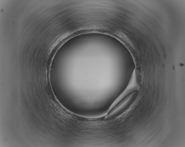 X0000065260781200603031827