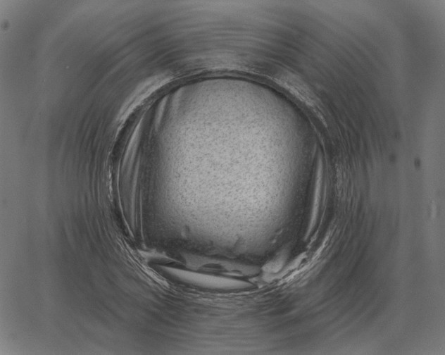 X0000065260782200603031827