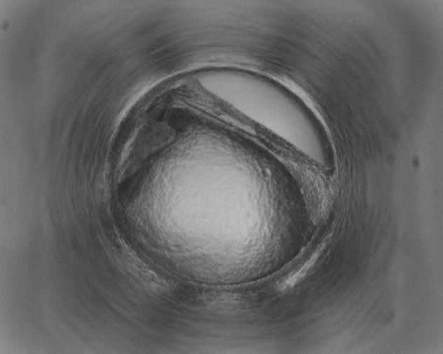 X0000065260783200603031827