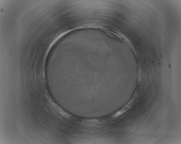 X0000065260784200603031827