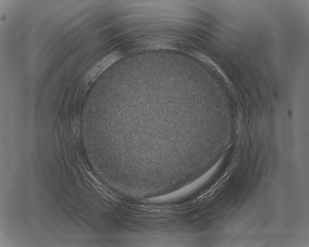 X0000065260785200603031827