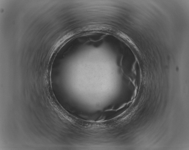 X0000065260786200603031827