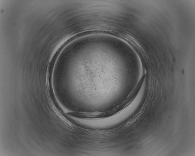 X0000065260788200603031827