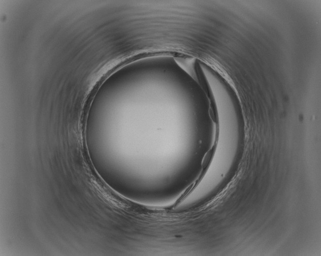 X0000065260789200603031827