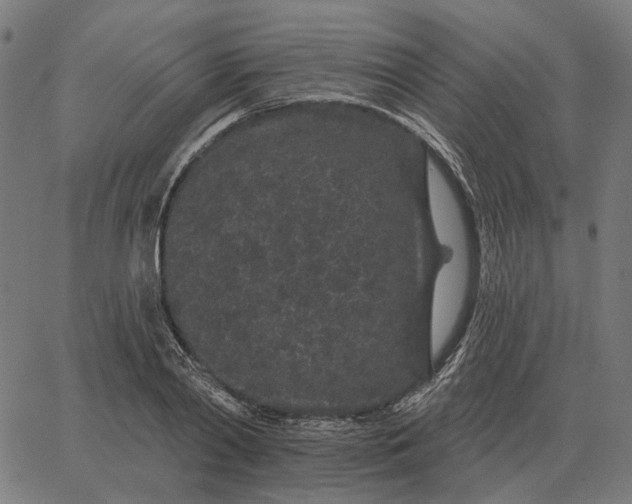 X0000065260790200603031827