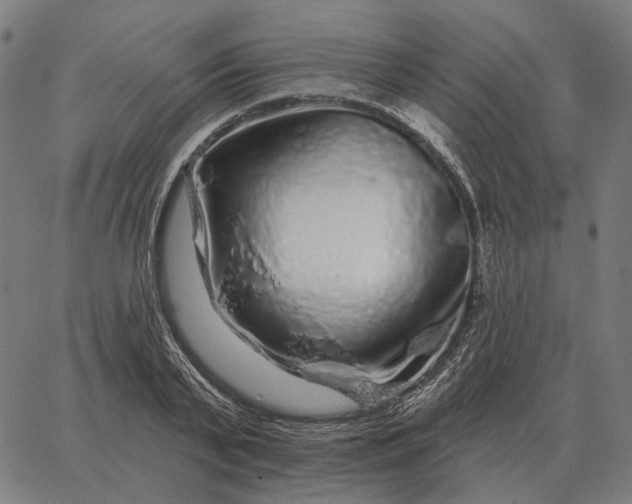 X0000065260791200603031827