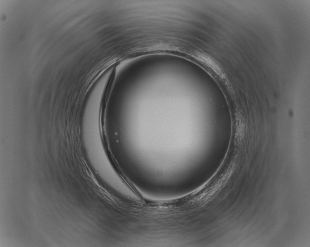 X0000065260793200603031827