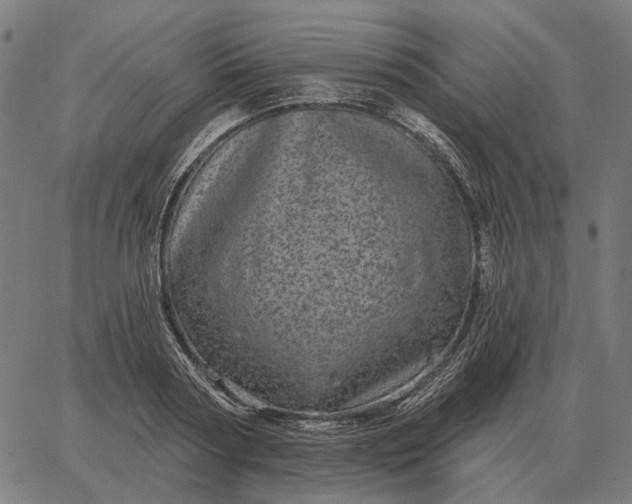 X0000065260794200603031827