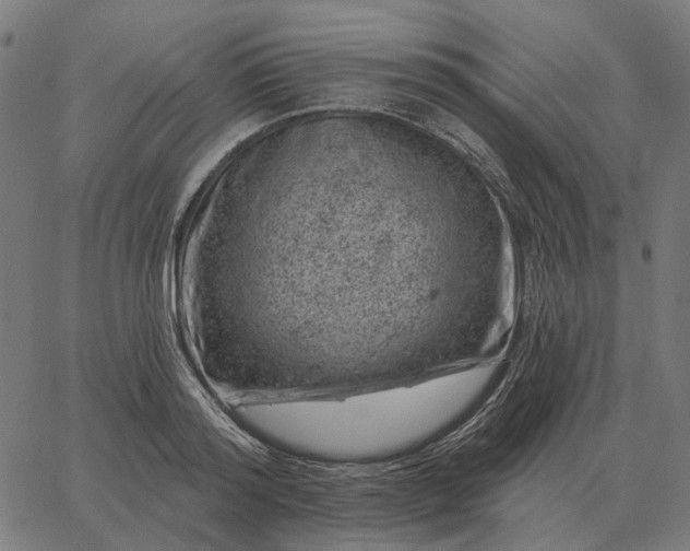 X0000065260796200603031827