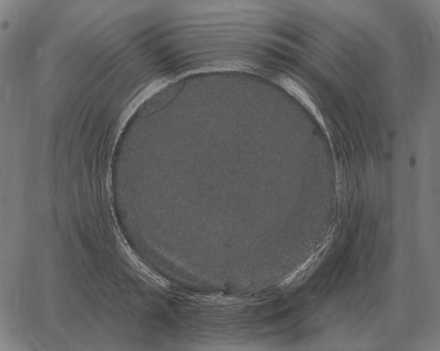 X0000065260797200603031827