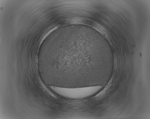 X0000065260798200603031827