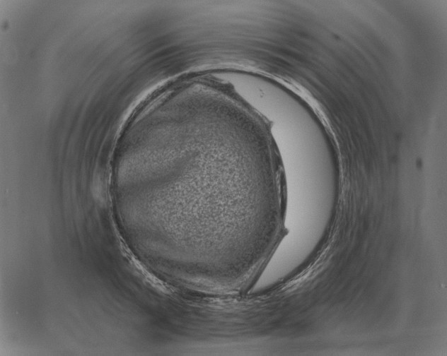 X0000065260799200603031827