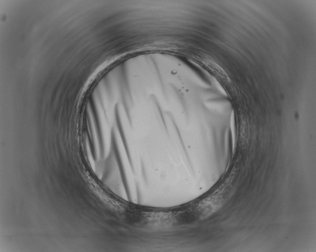 X0000065260800200603031827