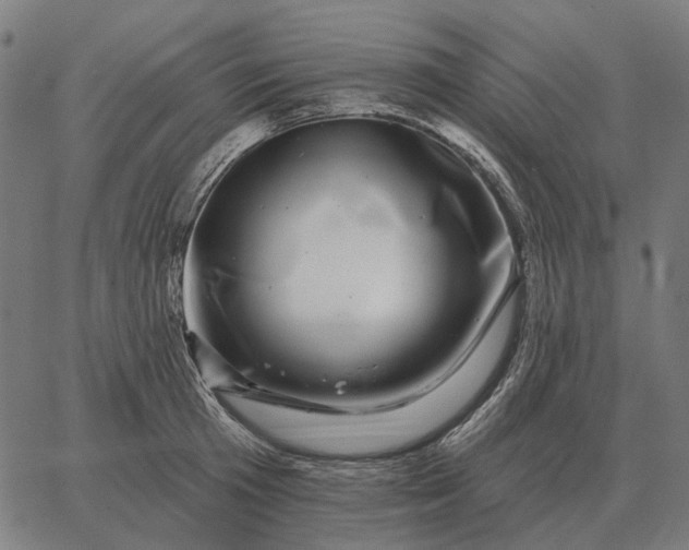 X0000065260801200603031827