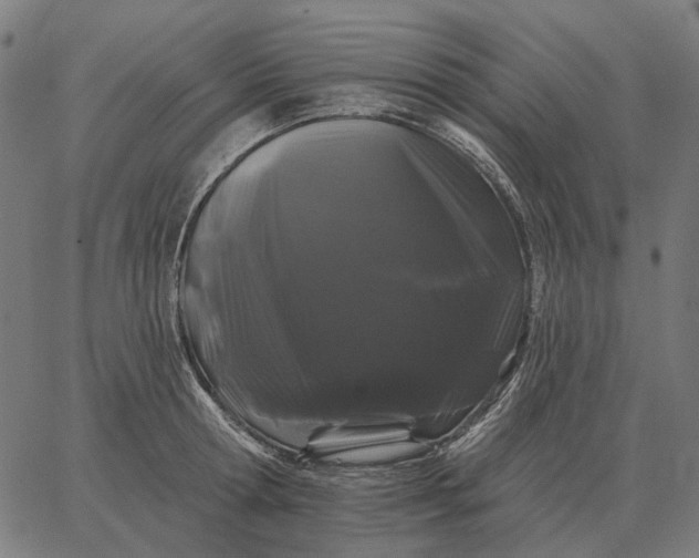 X0000065260802200603031827