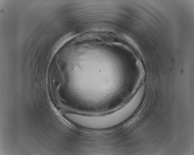 X0000065260803200603031827