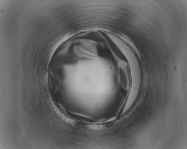 X0000065260805200603031827