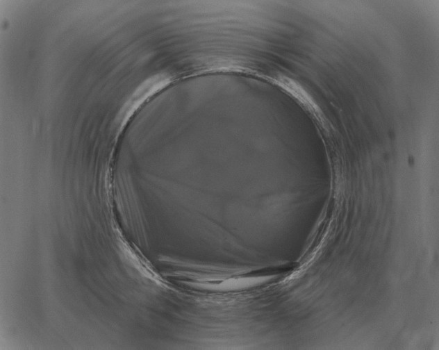 X0000065260806200603031827