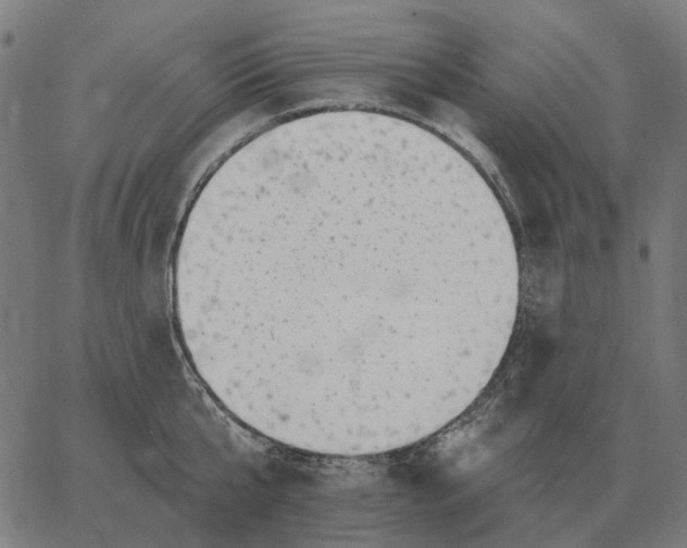 X0000065260807200603031827