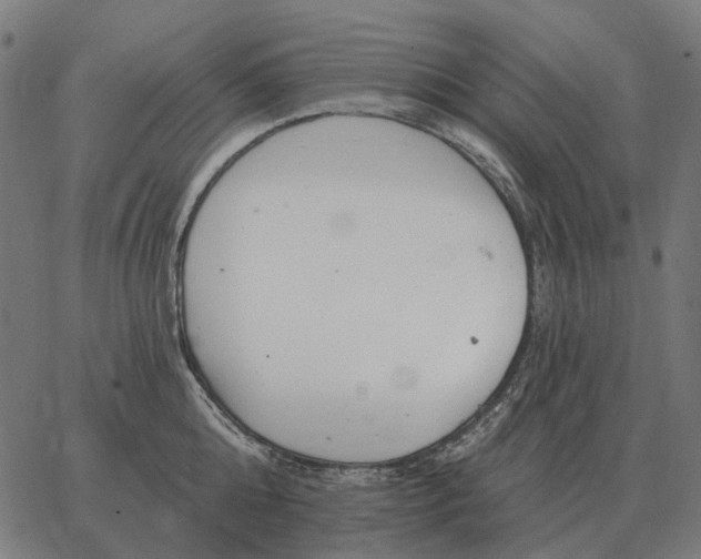 X0000065260808200603031827