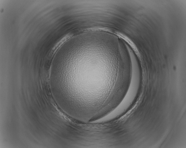 X0000065260809200603031827