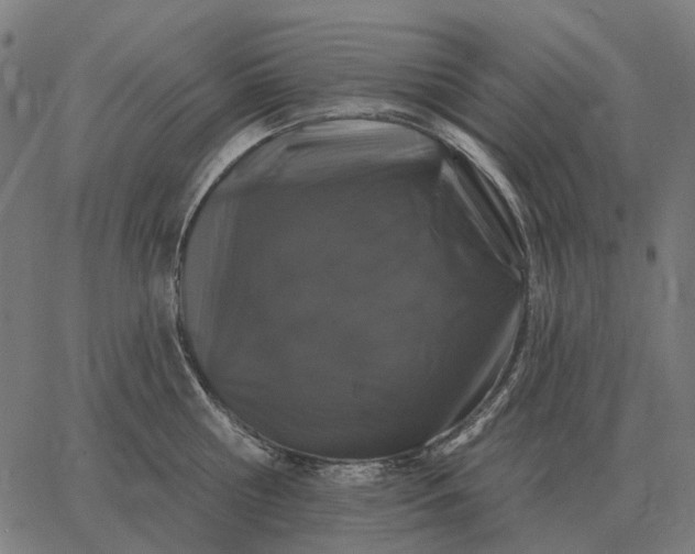 X0000065260810200603031827