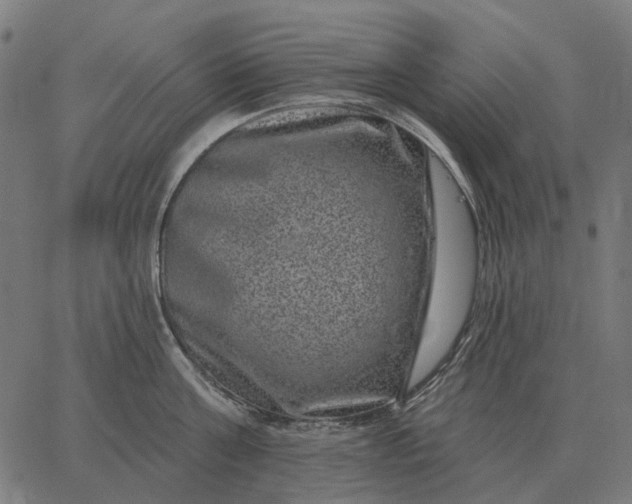 X0000065260811200603031827