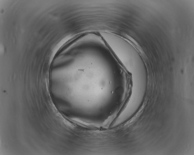 X0000065260812200603031827