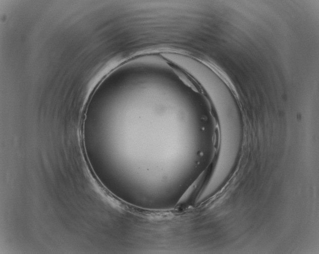 X0000065260813200603031827