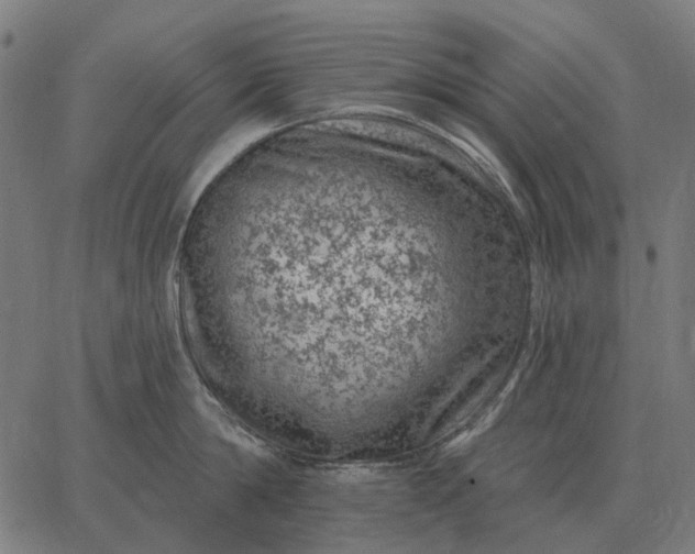 X0000065260814200603031827