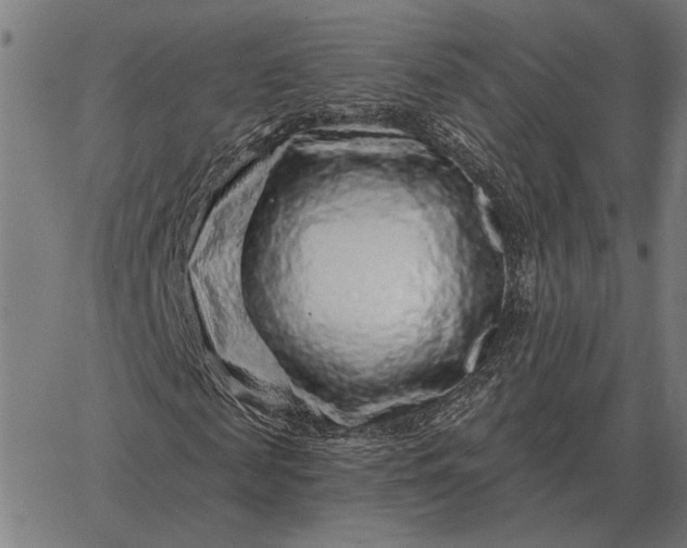 X0000065260817200603031826