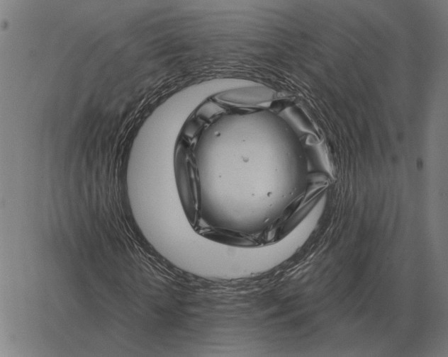 X0000065260818200603031826