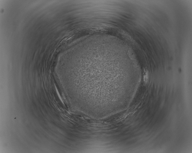 X0000065260819200603031826