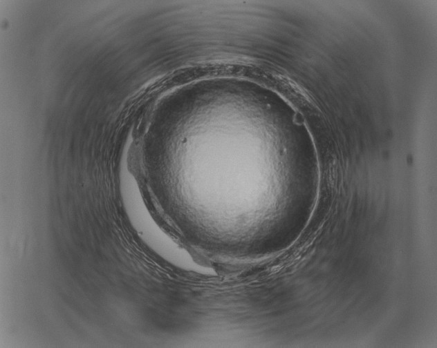 X0000065260821200603031826