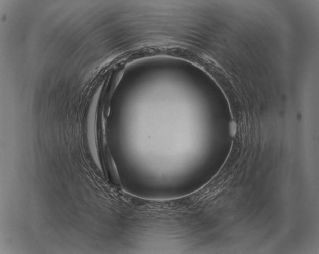 X0000065260822200603031826