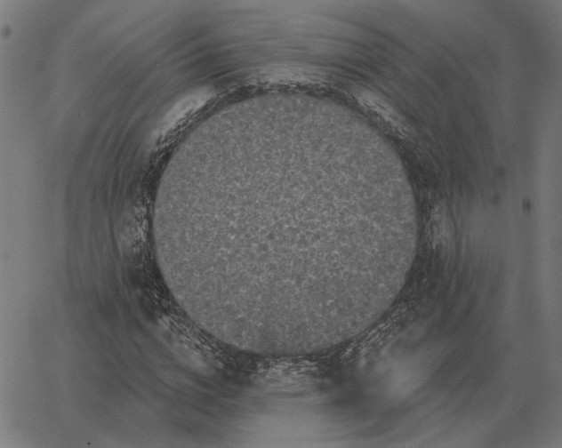 X0000065260824200603031826