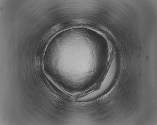 X0000065260825200603031826